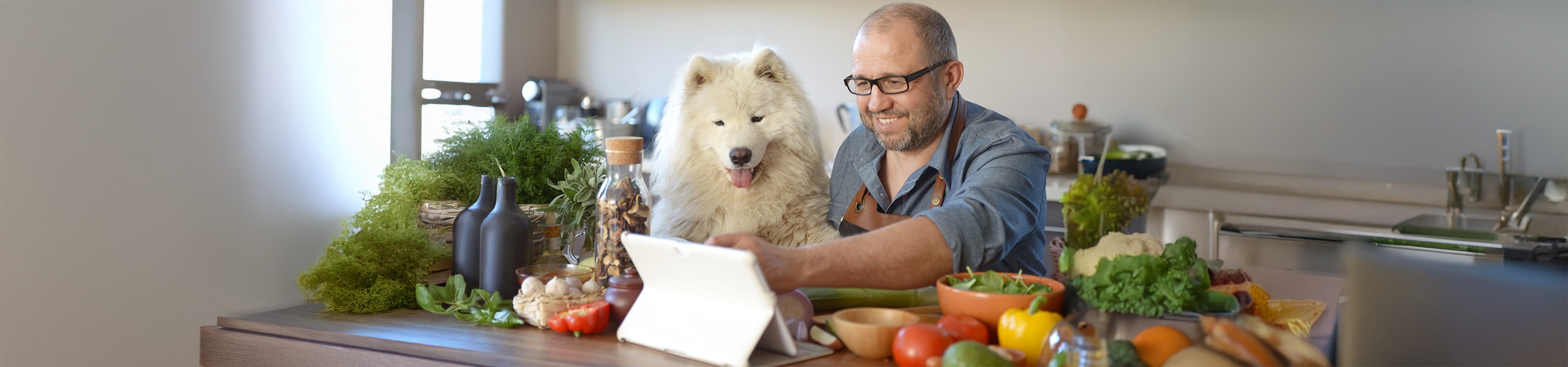 Persona planificando una alimentación saludable con su perro