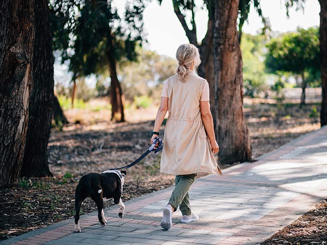 Woman walking a dog outdoors on a pathway