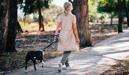 Persona paseando el perro por el parque