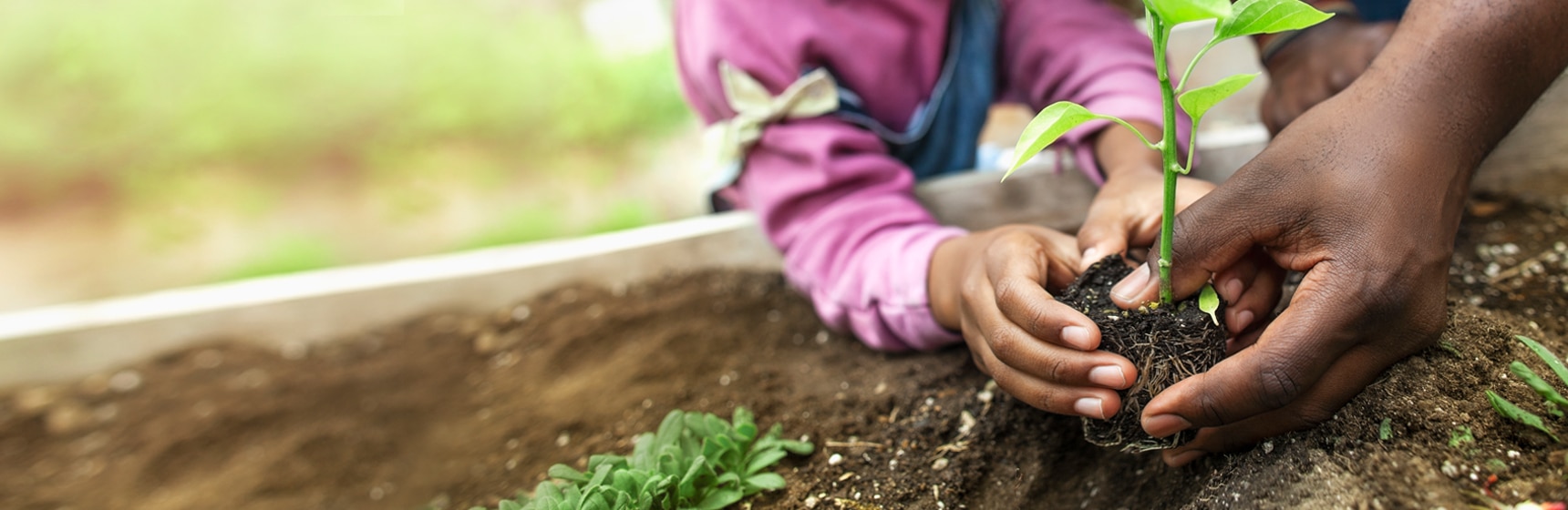 Persona e hija plantando juntos en un jardín