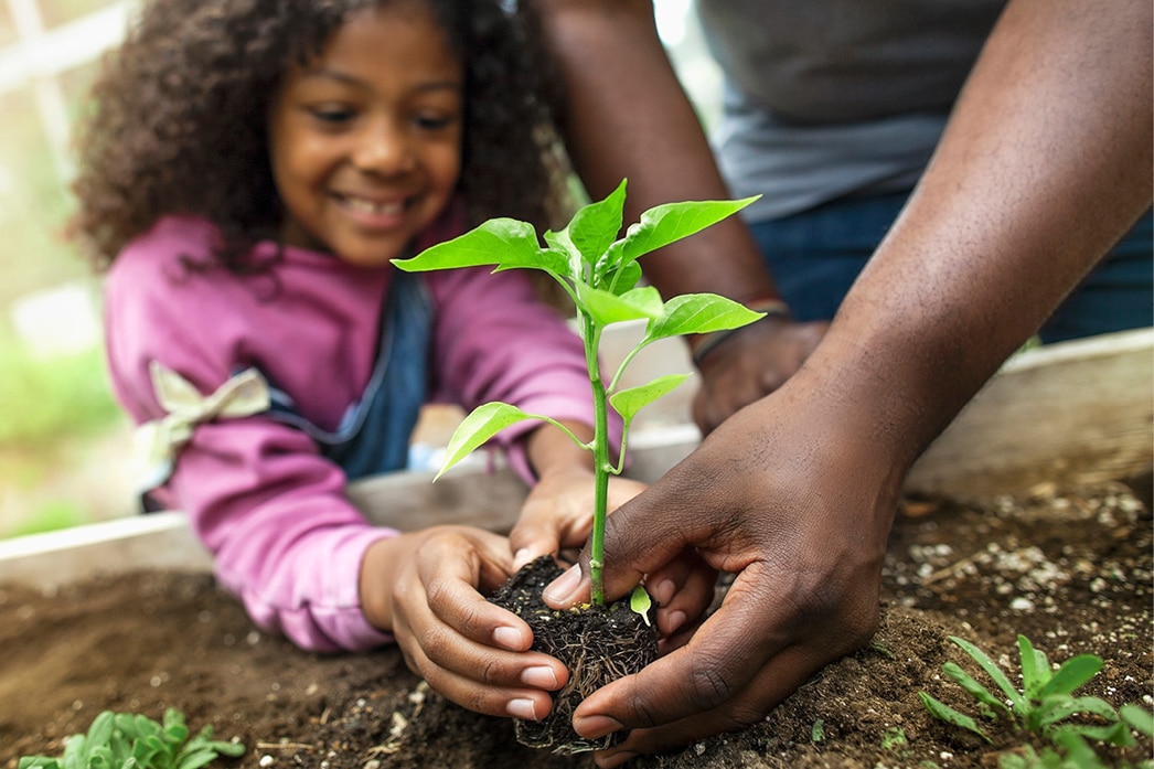 Persona adulta ayudando a una niña a poner una planta en la tierra