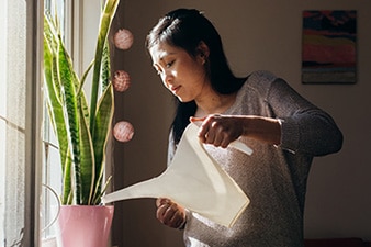 Persona regando una planta