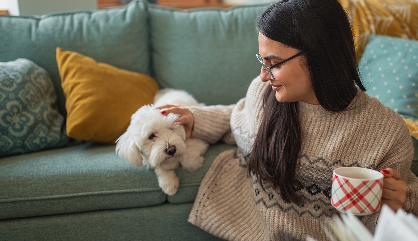 Person petting dog at home