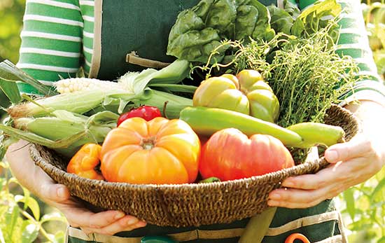Person holding a basket of fresh vegetables
