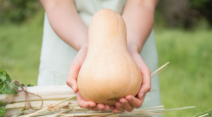 hands holding butternut squash