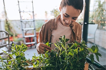 Mujer cuidando una planta