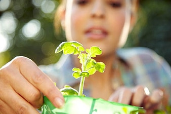 Persona que trabaja en el jardín