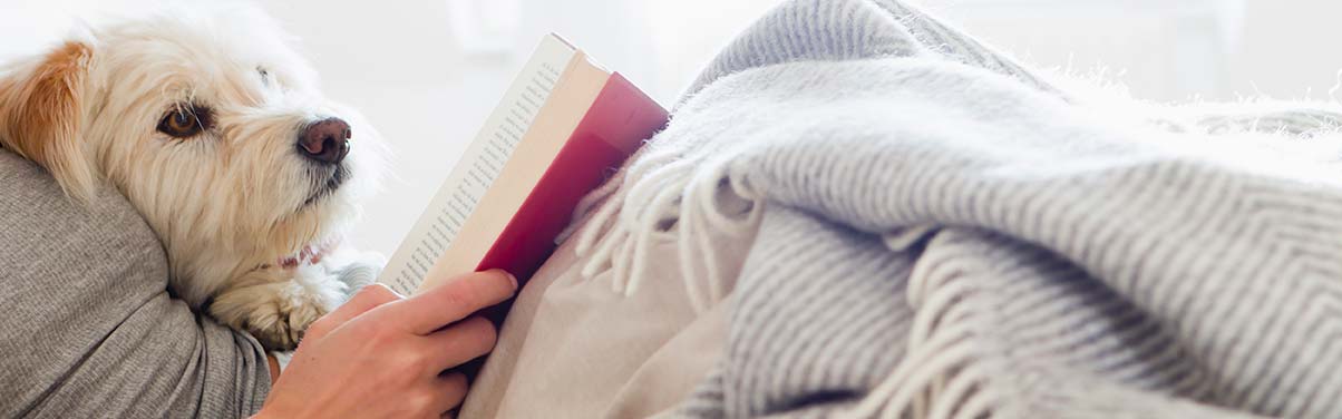 Person reading on bed with dog