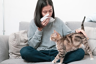 Persona sonándose la nariz mientras acaricia a un gato 