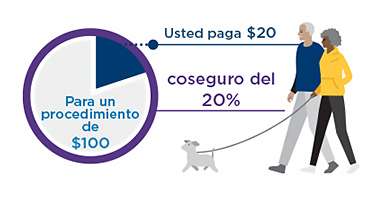 Un ejemplo de coseguro donde un procedimiento de $100 tiene un coseguro del 20 %. 