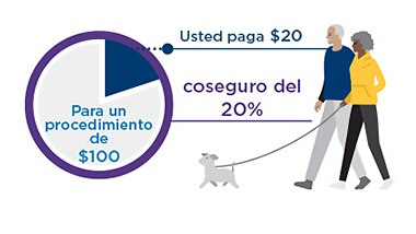 Un ejemplo de coseguro donde un procedimiento de $100 tiene un coseguro del 20 %. 