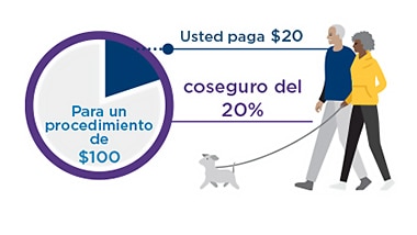Un ejemplo de coseguro donde un procedimiento de $100 tiene un coseguro del 20 %. 