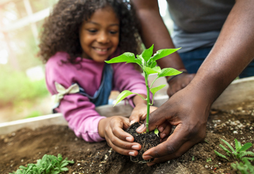 Una niña planta un brote en un jardín