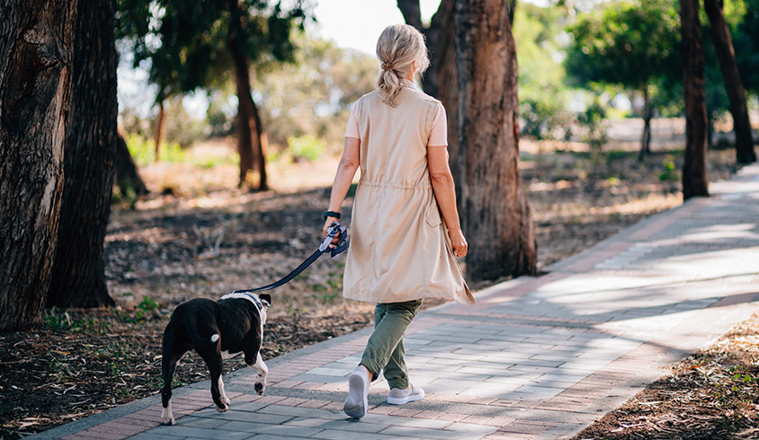 Persona paseando el perro por el parque